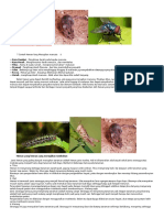 Download 7 Contoh Hewan Yang Merugikan Manusia by RADIOLOGI SN321106311 doc pdf