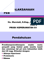 Penatalaksanaan Peb