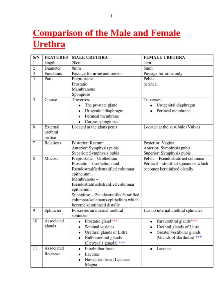 Comparison of Male and Female Urethra PDF