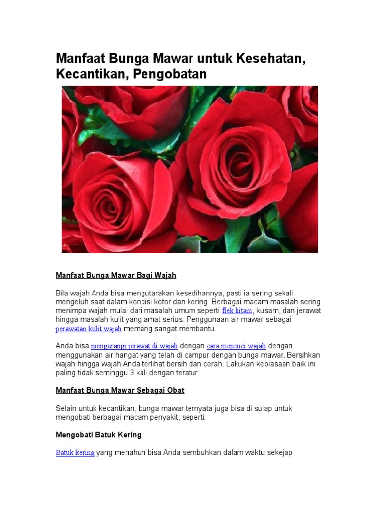 Manfaat Bunga Mawar Untuk Kesehatan 2