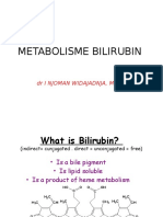 Metabolisme Bilirubin Blok 11 2016