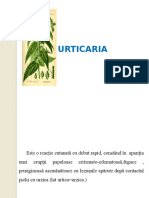 C6 - Urticaria