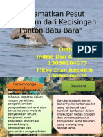 Pesut Mahakam Indrie Fikky