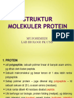 Protein Structure 2011