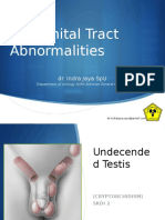 Urogenital Tract Abnormalities: Dr. Indra Jaya Spu