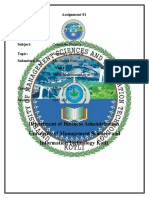 Department of Business Administration University of Management Sciences and Information Technology Kotli