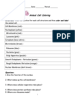 Animal Cell Coloring Revised