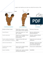 Muscles That Makes The Movements