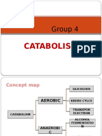 Group 4: Catabolism