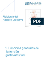 Fisiología Digestiva I - II