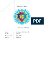 Assignment: TMT 1141 SST Lab