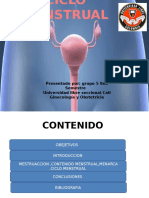 Ciclo Menstrual