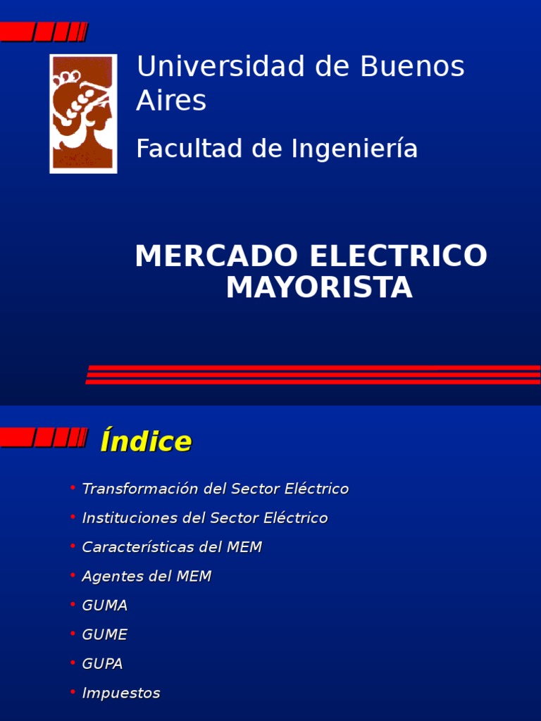 6533El Mercado Eléctrico Mayorista Oferta (economía) Mercado