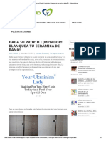 Para Limpiar Mayolicas PDF