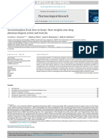 APAP Liver To Brain - Ghanem - 2016