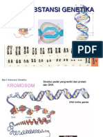 DNA DAN RNA