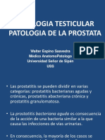 Patología Testicular y Próstata - Practica Parte