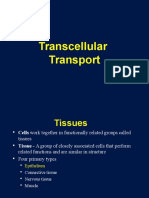 Transcellular Transport Clase 1.2