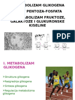 Glikogen, Put Pentoza-Fosfata, Druge Heksoze - Zvu - 2013