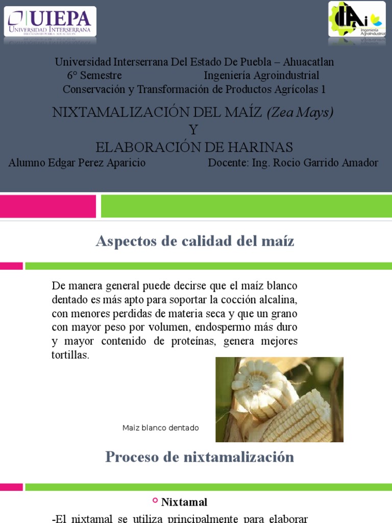 Maizprocesos 131010145823 Phpapp01 Ppt