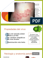 Virus de Varicela-Zóster