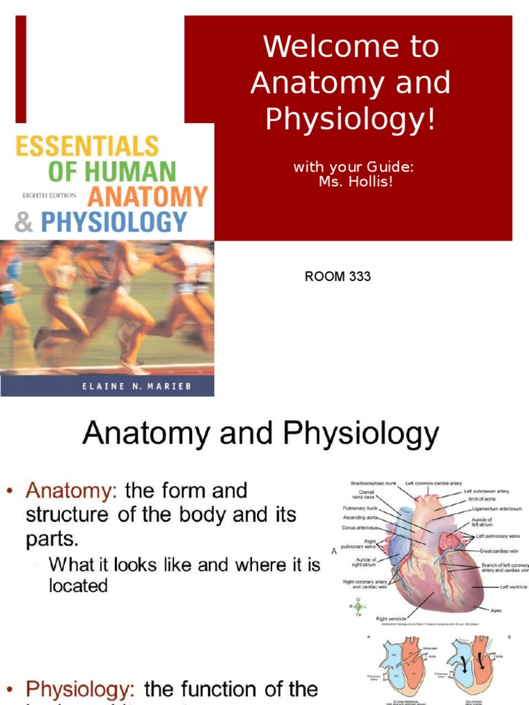 Physiology Vs Anatomy PDF