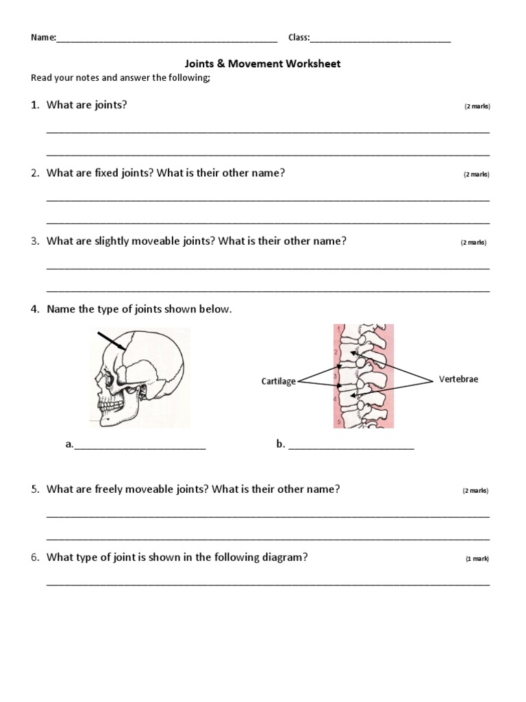 joints-movement-worksheet-pdf-pdf-anatomical-terms-of-motion-joint