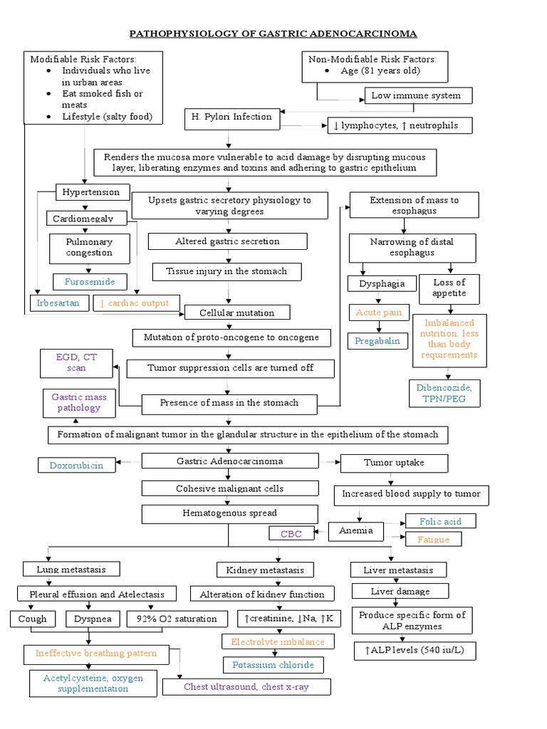 Pathophysiology of Gastric Adenocarcinoma | PDF