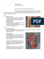 Review Notes For NCLEX CGFNS - Aortic Aneurysms