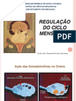 Aula 3 Ciclo Menstrual