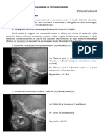 RADIOGRAFIAS OTORRINO