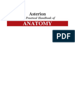 Asterion the Practical Handbook of Anatomy 2nd Edition PDF-265