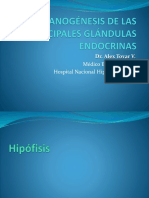 Organogénesis de Las Principales Glándulas Endocrinas