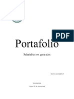 Portafolio - QUEMADOS