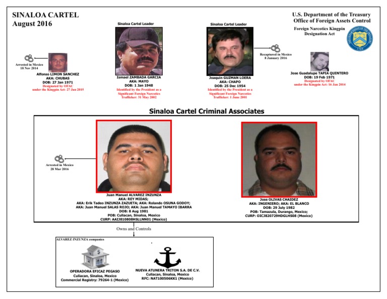 Sinaloa Cartel Kingpin Chart Aug 2016 | Sinaloa Cartel | Conflicts ...