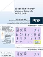 Diferenciación en Hombre y Mujer Durante Desarrollo Embrionario