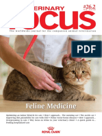 Feline Medicine 1
