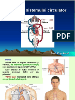 Lectie 23 Anatomia Sistemului Circulator.