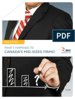 BDC Study Mid Sized Firms