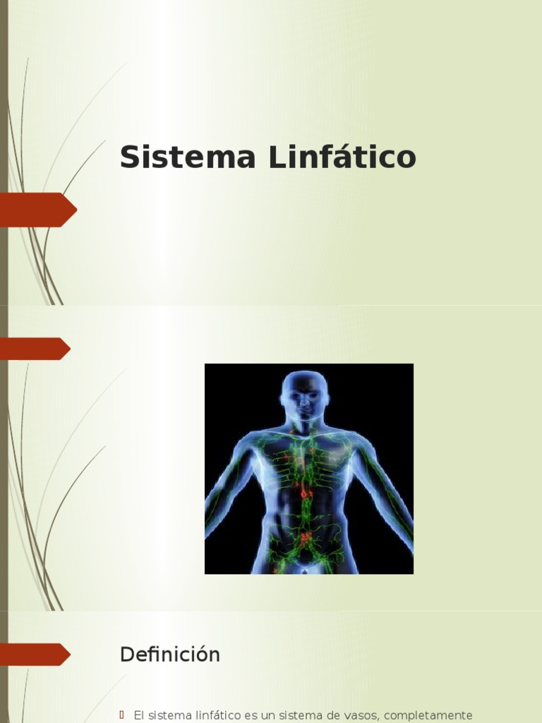 Sistema Linfático.pptx Lymphatic System Lymph Node