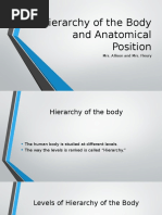 Hierarchy of The Body and Anatomical Position