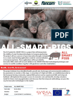 All Smart Pigs Flyer