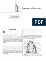  Anatomia Cardiovascular