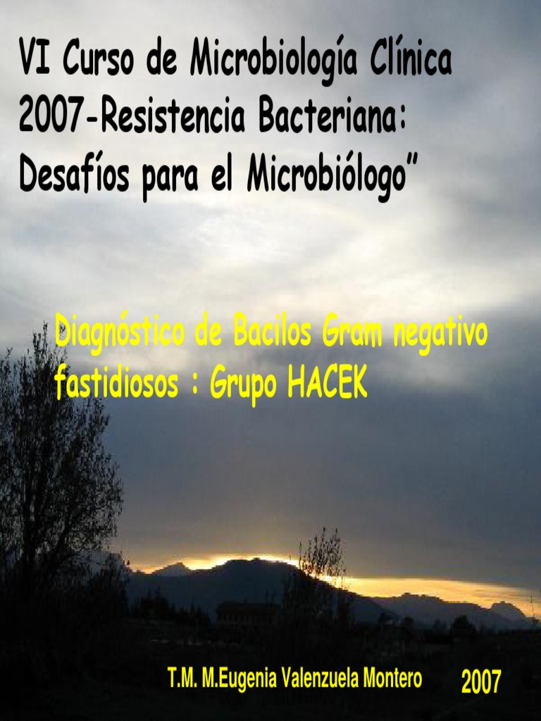 Resistencia Bacteriana y Grupo HACEK | PDF | Microbiología ...