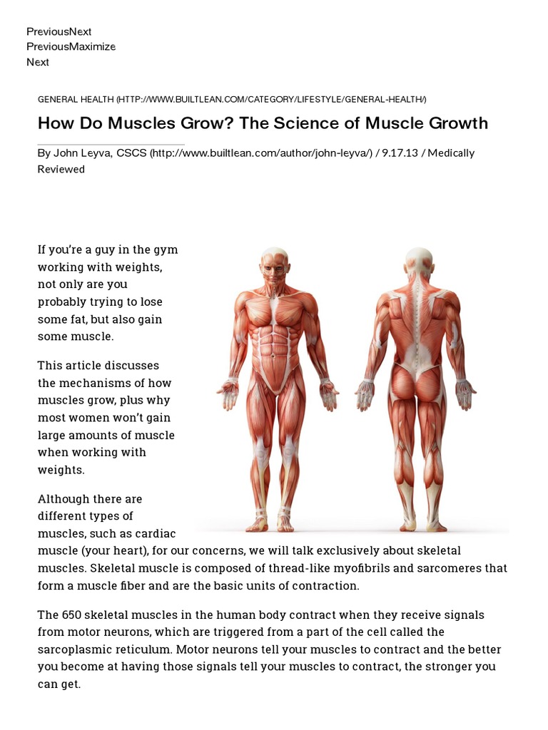 How Do Muscles Grow - The Science of Muscle Growth | PDF | Muscle ...