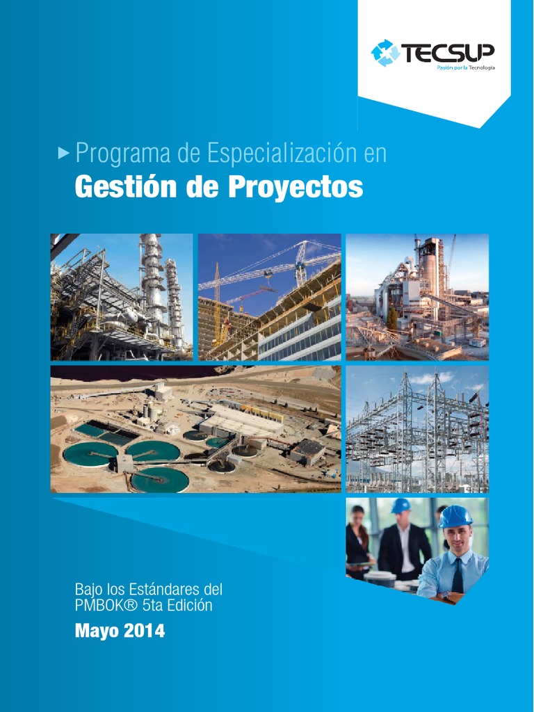 Gestion de Proyectos | PDF | Profesional en el manejo de proyectos ...