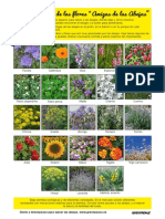 GP_lista-flores-amigas-de-las-abejas.pdf