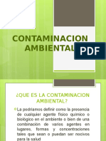 Contaminacionambientalensayo 121112215407 Phpapp01