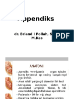 Kuliah Appendiks Dr. BIP