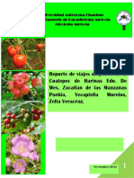 Coatepec de Harinas Edo. De Mex, Zacatlan de las Manzanas Puebla, Yecapixtla Morelos,  Zelta Veracruz, 